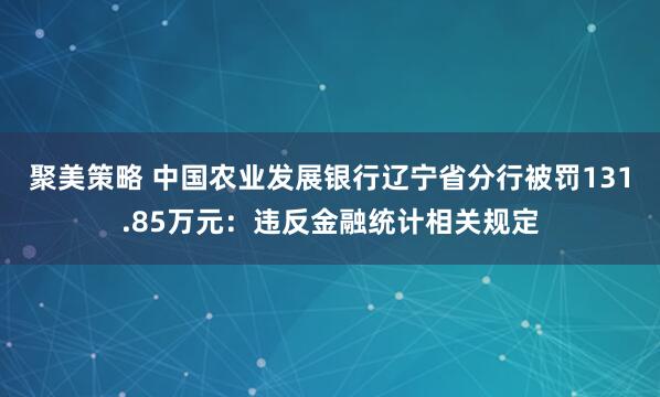 聚美策略 中国农业发展银行辽宁省分行被罚131.85万元：违反金融统计相关规定
