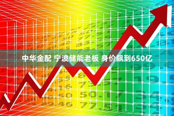 中华金配 宁波储能老板 身价飙到650亿