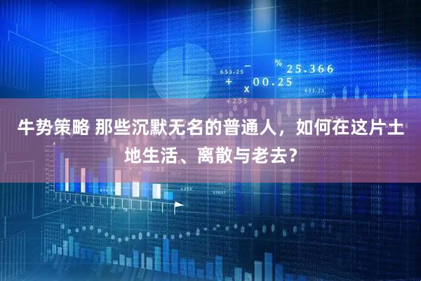 牛势策略 那些沉默无名的普通人，如何在这片土地生活、离散与老去？