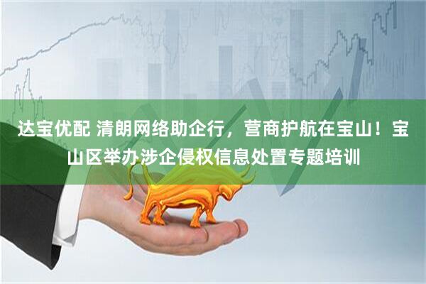 达宝优配 清朗网络助企行，营商护航在宝山！宝山区举办涉企侵权信息处置专题培训